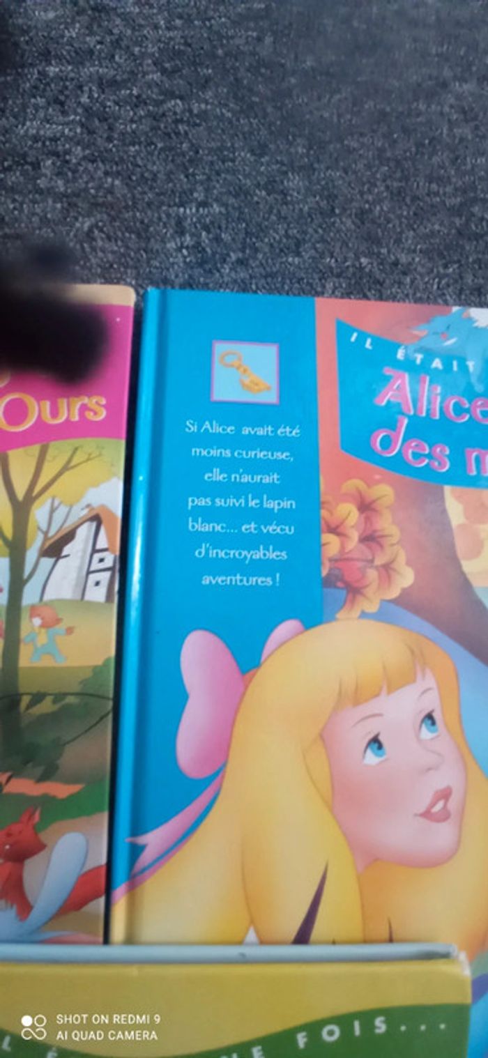 Lot de 3 livres - photo numéro 3