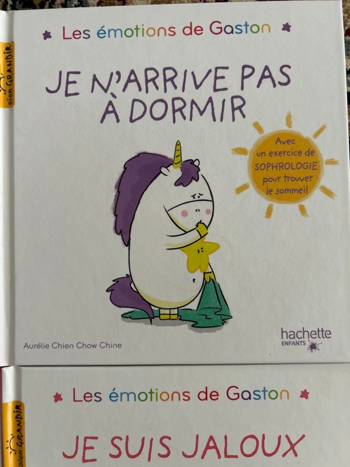 Lot de 4 livres Les Émotions de Gaston - photo numéro 4