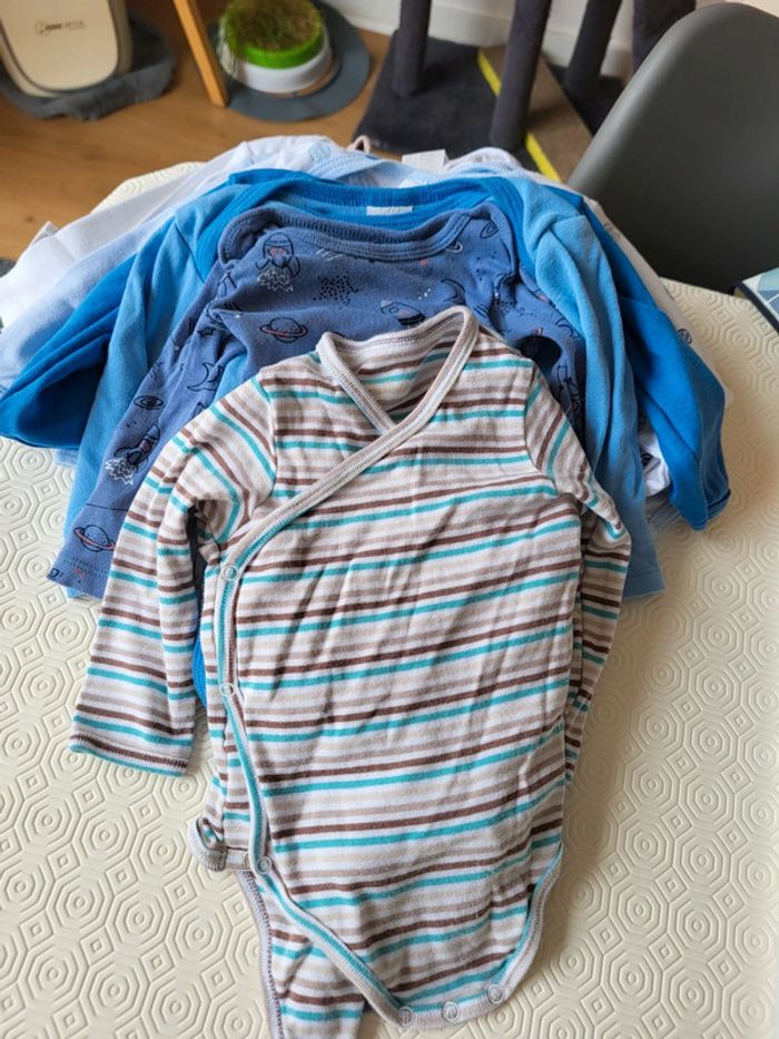 Lot 12 bodies
