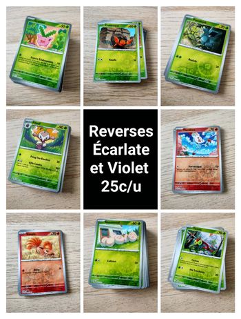 Reverses Bloc  Écarlate et Violet