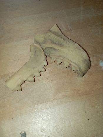 Décoration de terrarium