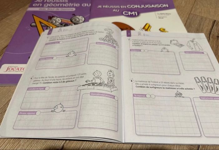 Bout de gomme Cm1 - photo numéro 2
