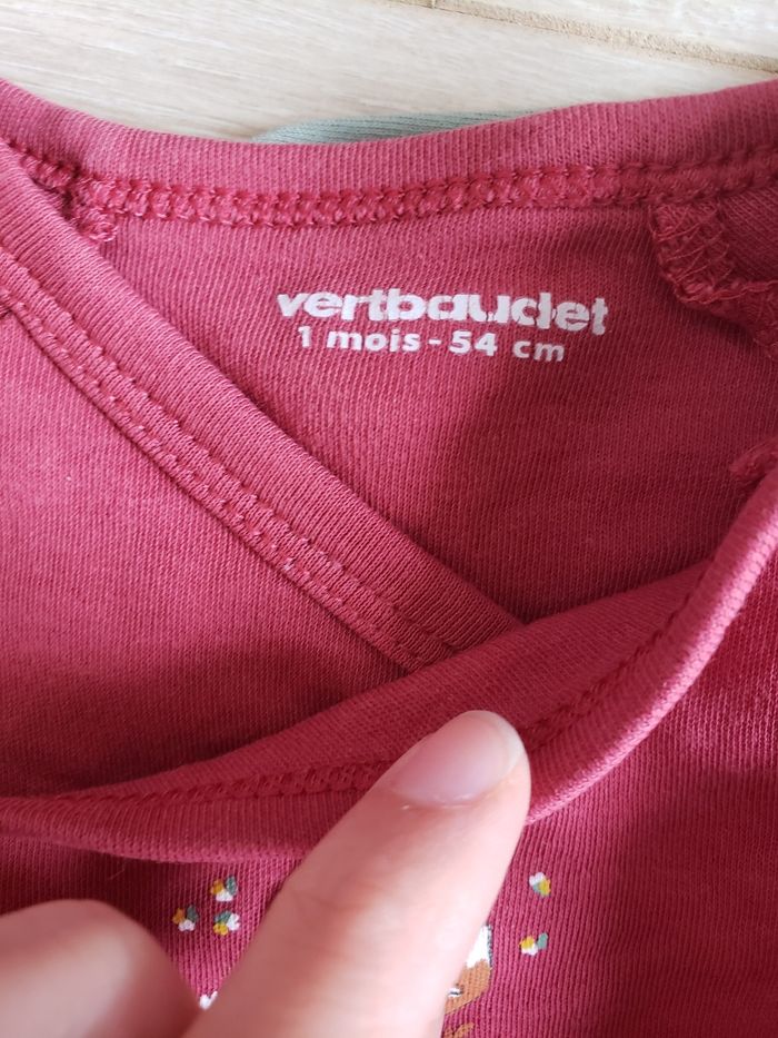Lot de 5 bodies taille 1mois - photo numéro 2