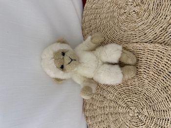 Peluche Singe nounours vintage