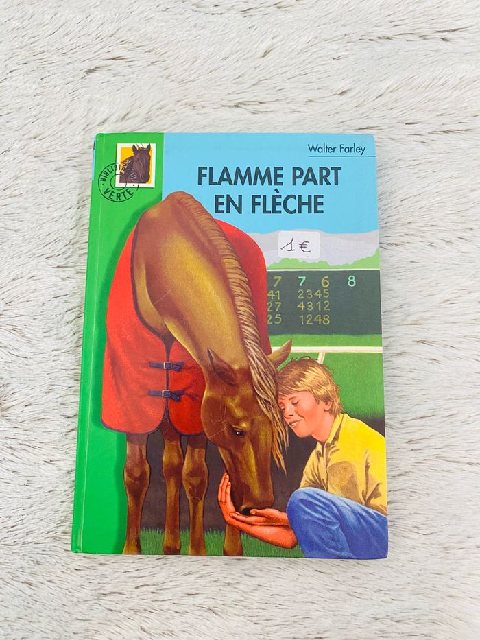 Livre Flamme Part en Flèche Bibliothèque Verte