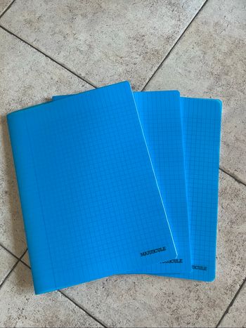 Lot de 4 cahiers grand format
