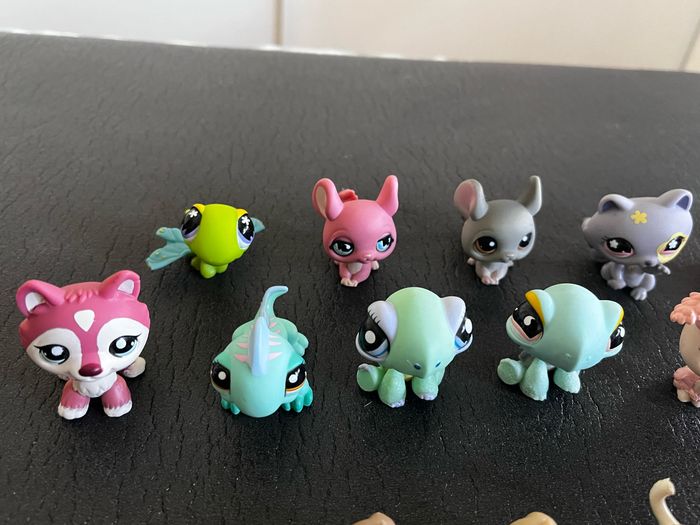 lot 30 petshop - photo numéro 4