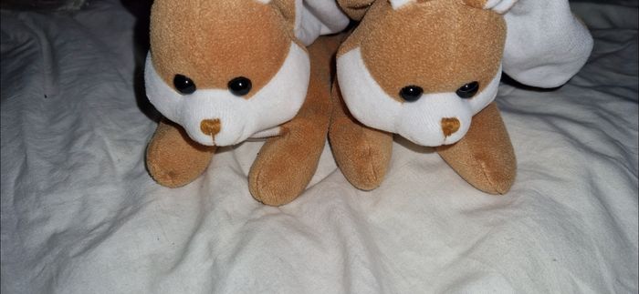 Lapins - photo numéro 2