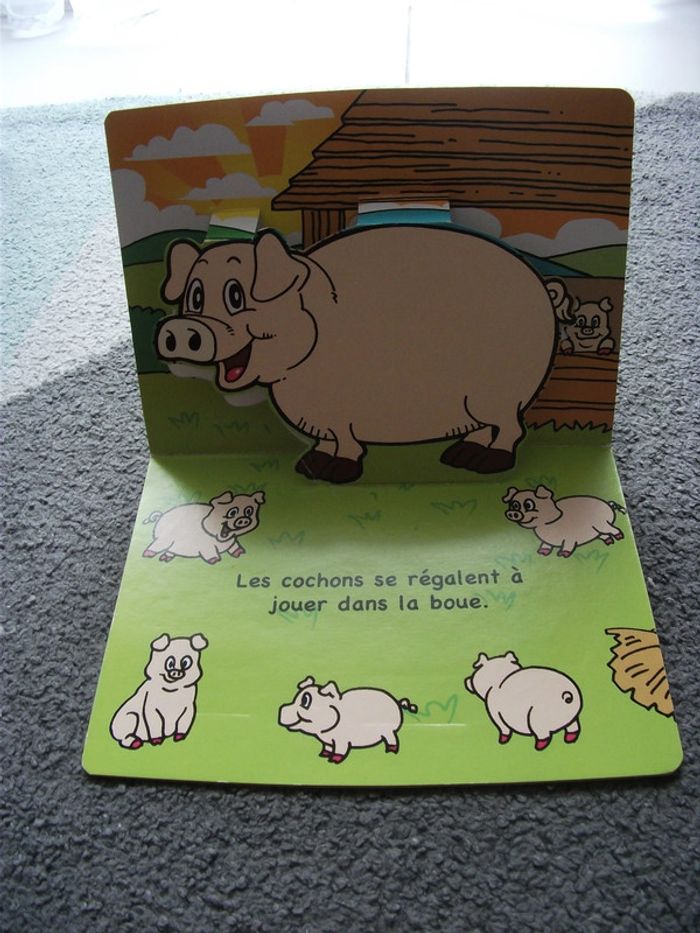 Livre Plaisir en 3D à la ferme WH Almere - photo numéro 9