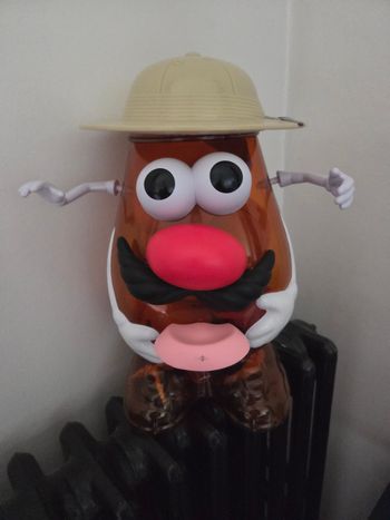 M. PATATE SAFARI