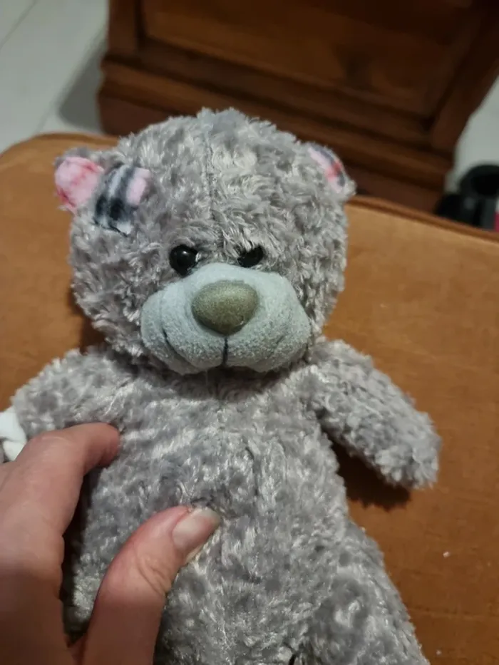 Nounours gris - photo numéro 2