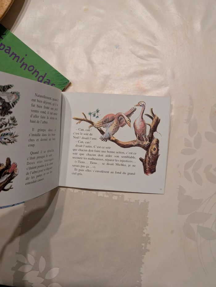 Lot les mini Castor - photo numéro 13