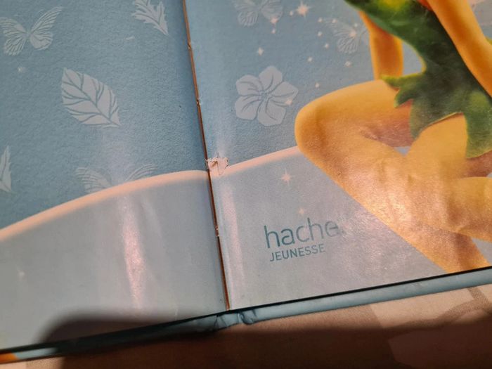 Clochette et le secret des fées (disney) - photo numéro 6