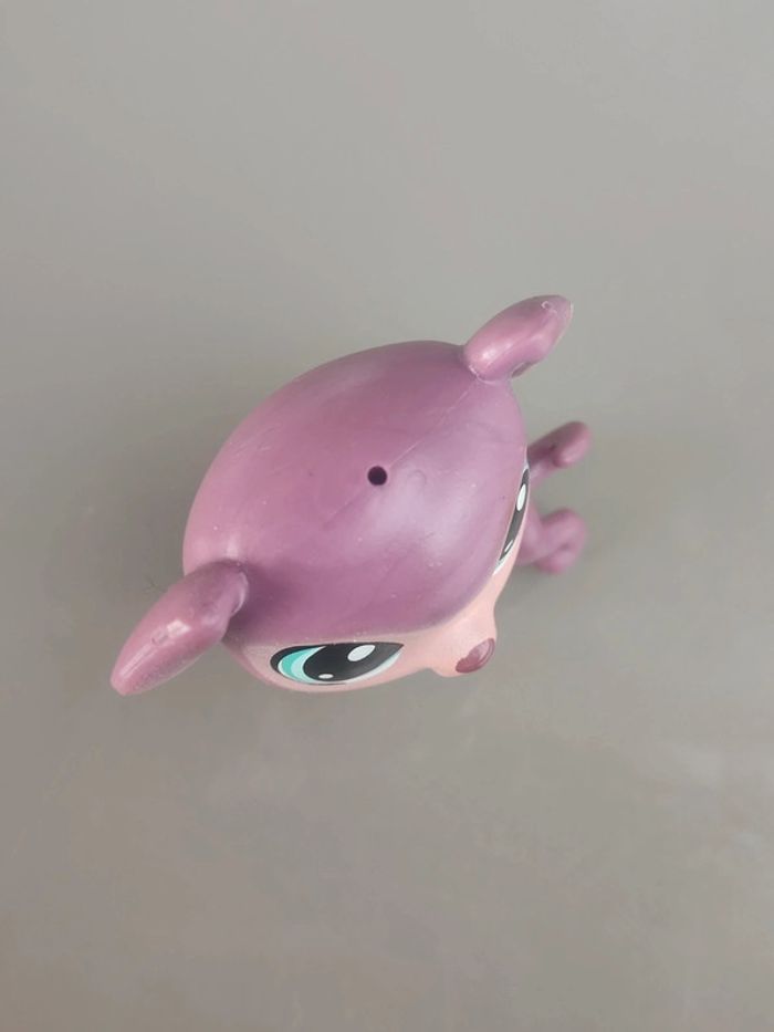 Littlest Pet Shop #220 Bouncy Eagerton purple dog labradoodle - photo numéro 4