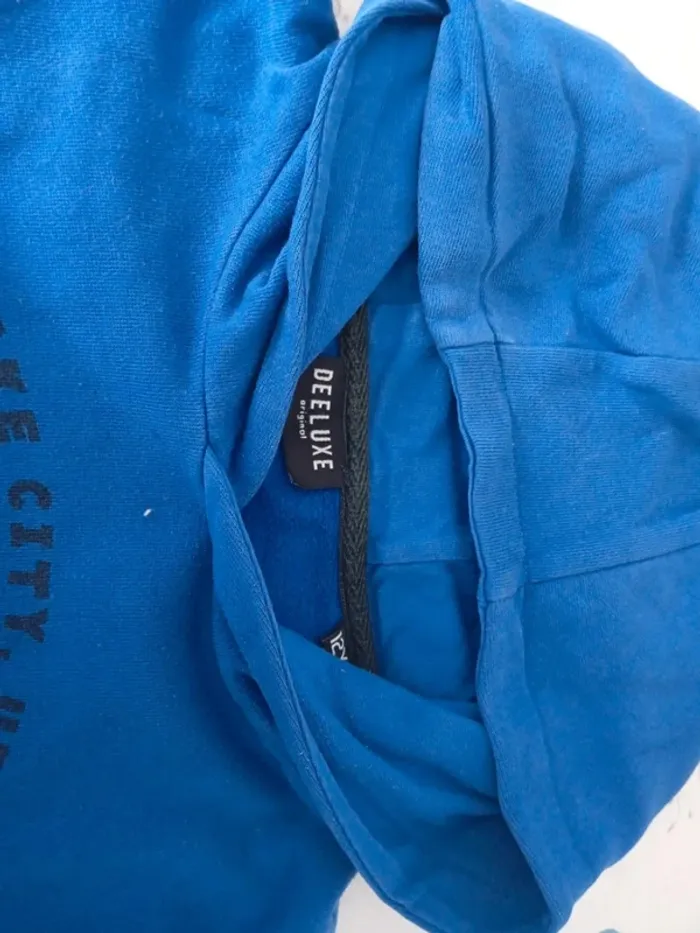 Sweat à capuche bleu électrique 12 ans - photo numéro 4