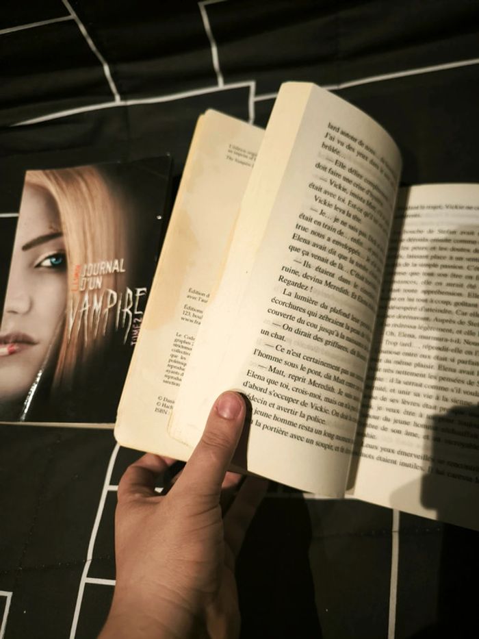 Livre journal d'un vampire 1 et 2 - photo numéro 2