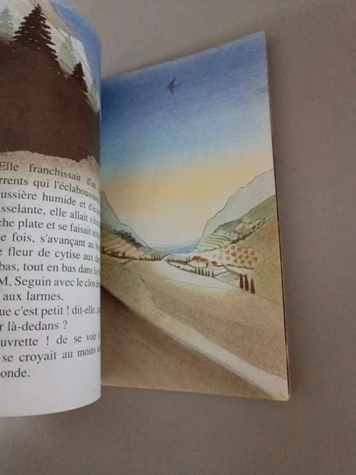 La chèvre de Monsieur Seguin Alphonse Daudet castor poche cadet - photo numéro 5