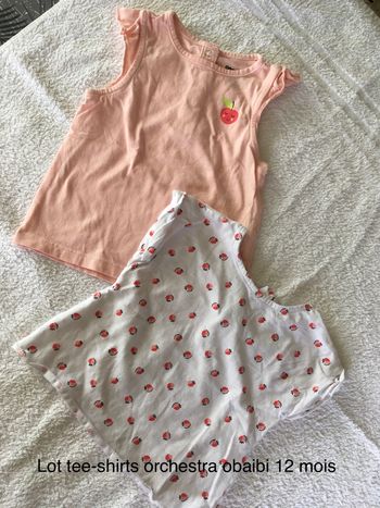 Lot 2 tee-shirts 12 mois