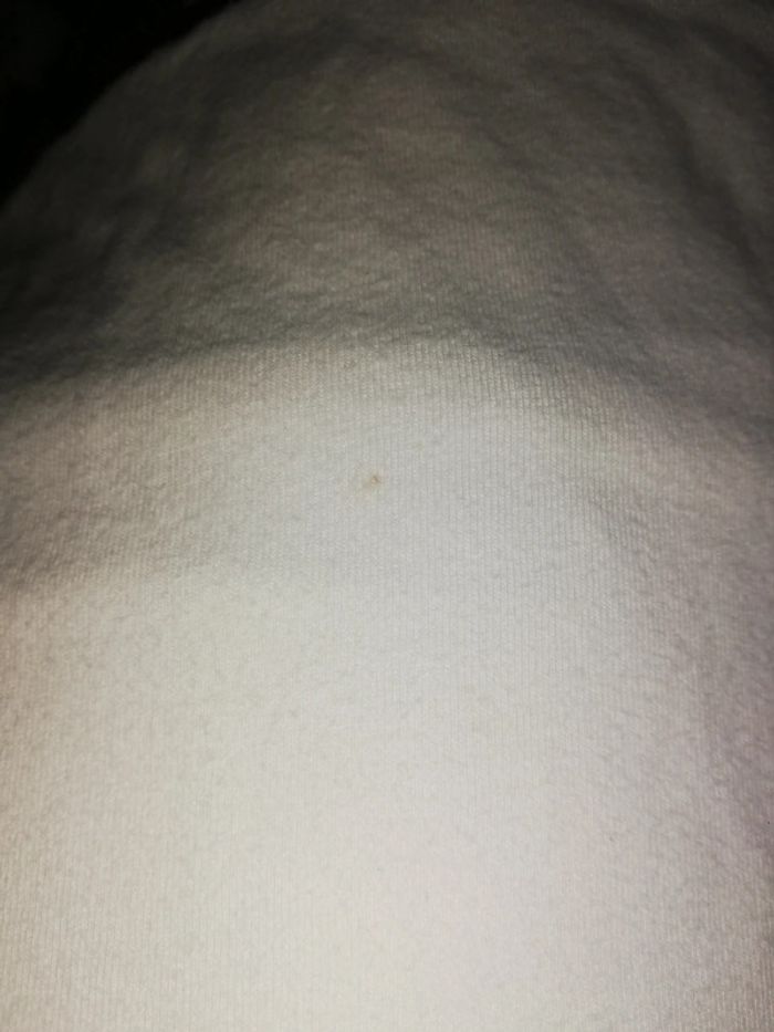 Sous pull blanc jungle 24 mois fille orchestra - photo numéro 4