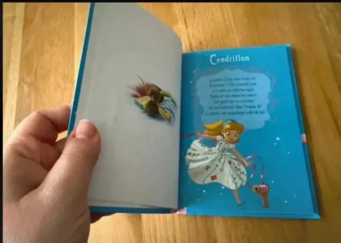 Livre Bibliothèque rose Souvenirs d'enfance Cendrillon - photo numéro 7