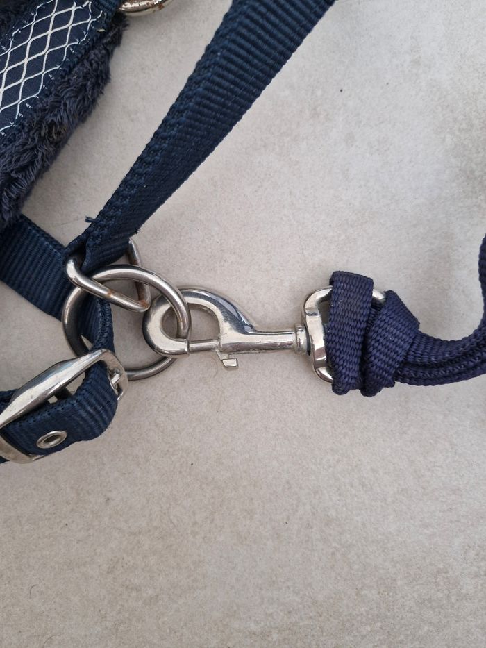 Licol cheval + longe fonganza
Bleu - photo numéro 5