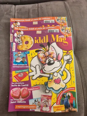 Lot magasines diddls