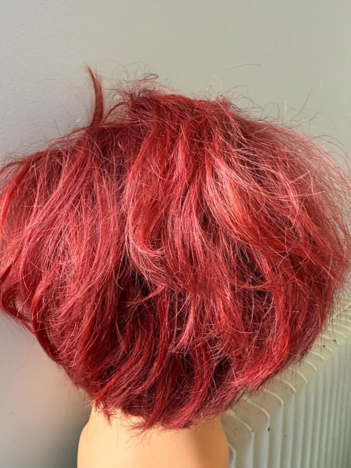 Tête malléable professionnelle Raphael Perrier - Cheveux Colorés (Rouge/Bourgogne) - photo numéro 3