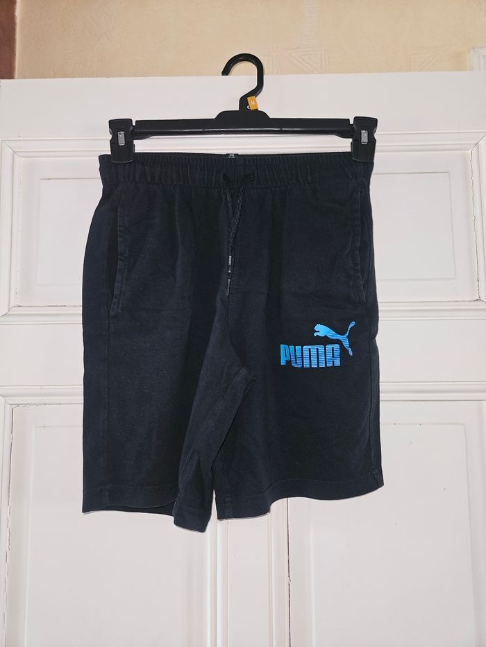 Short puma