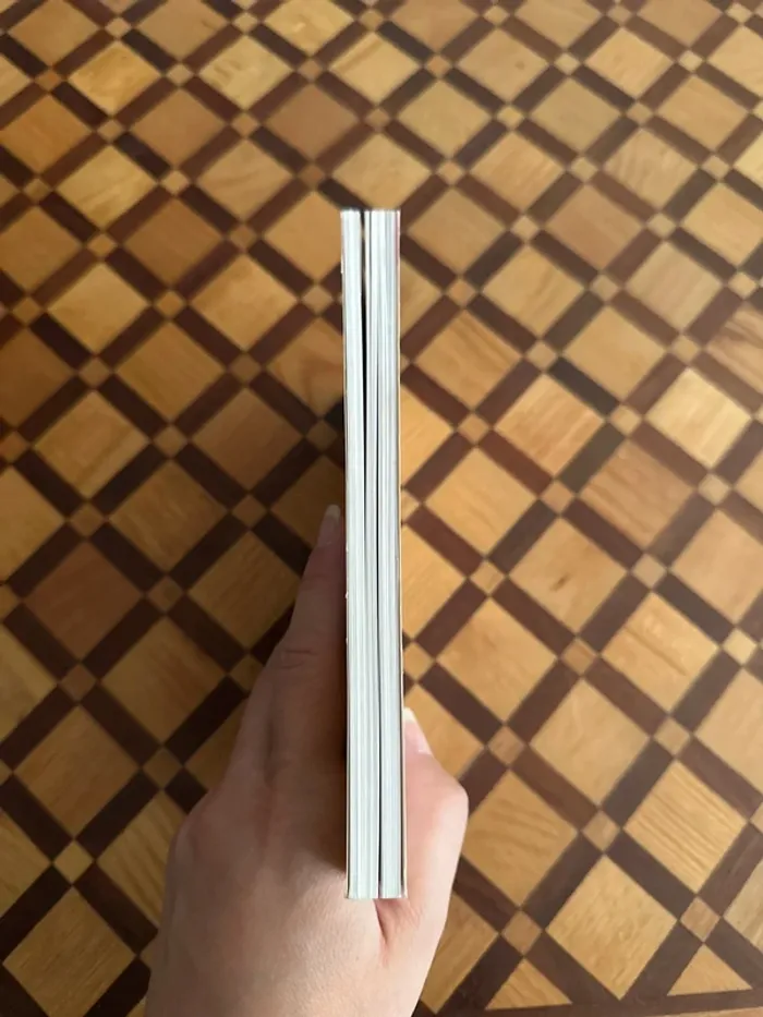 Livre Les Bêtises du Petit Nicolas - photo numéro 3