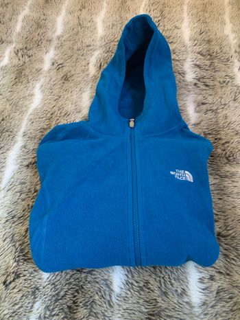 Polaire the north face