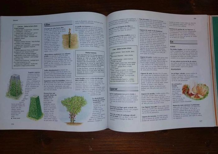 1001 truc et astuces de jardin - photo numéro 2