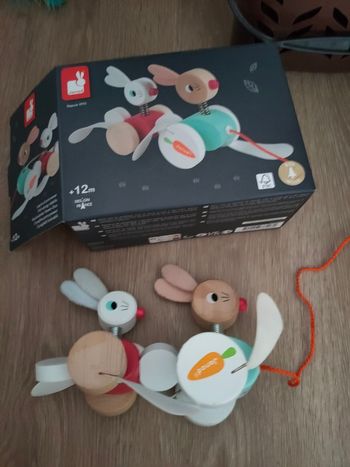 Lapin Janod