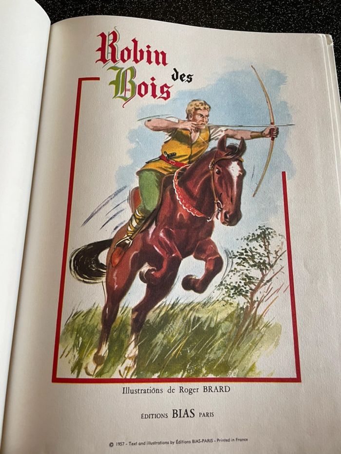 Robin des bois - photo numéro 2