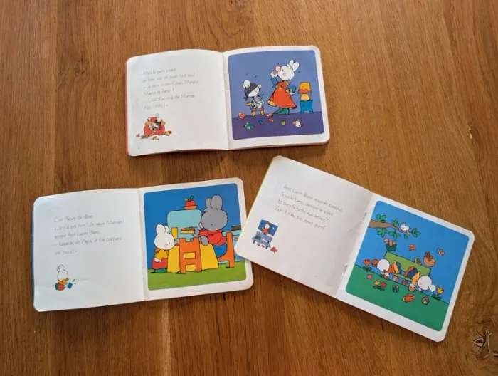 Lot 3 livres Petit lapin blanc - photo numéro 2