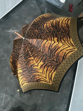 Ancien parapluie vintage
