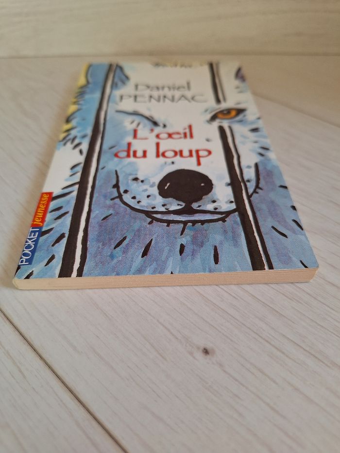 "L'œil du loup" - Daniel Pennac - photo numéro 4