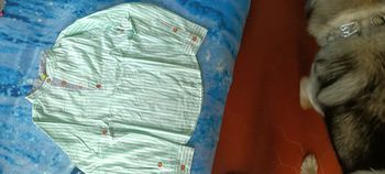 Polo manches longues