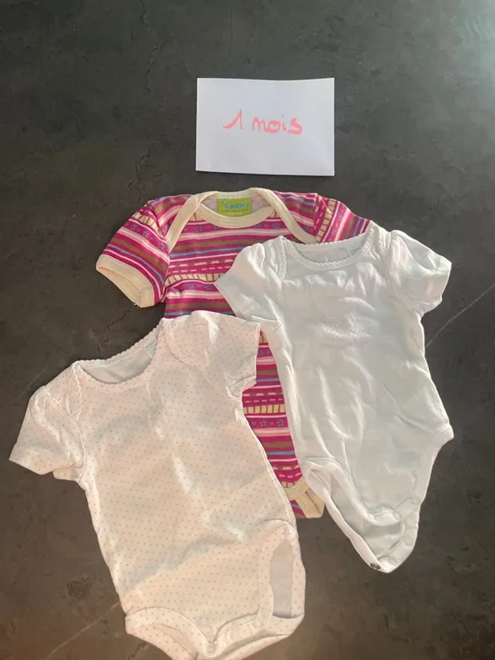Lot de 3 bodies manches courtes