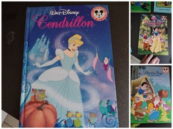 Lot livres disney