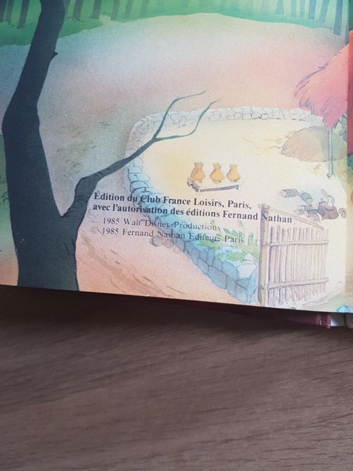 Livres Disney - photo numéro 9