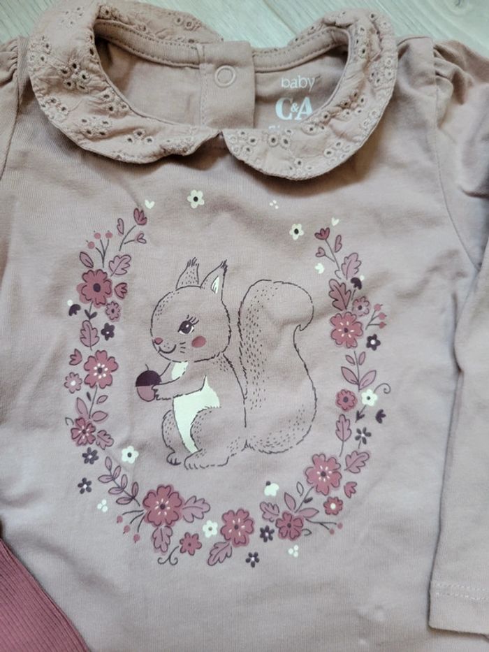 Ensemble ecureuil - photo numéro 2