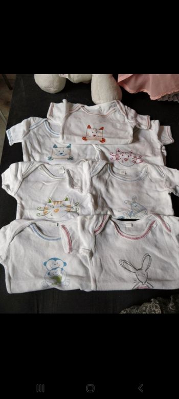 Lot boby manche courte