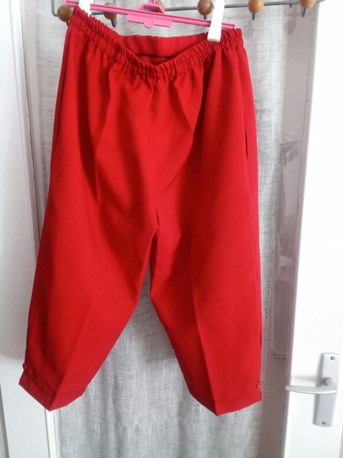 Corsaire rouge - photo numéro 2