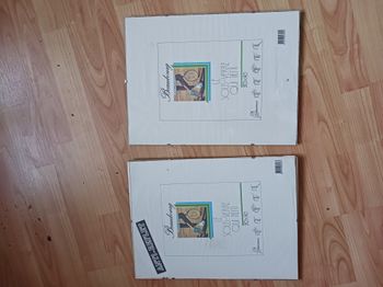 lot de 2 sous verres 40 x 30 cm Beaubourg