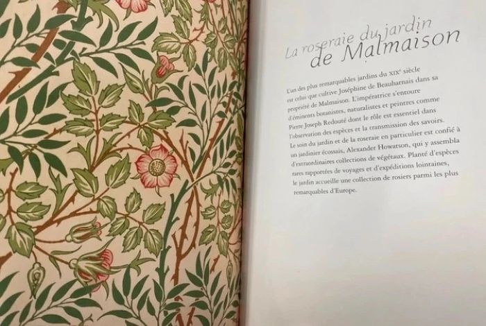 Livre Roses de Sandrine Bailly Editions de la martinière Neuf - photo numéro 3
