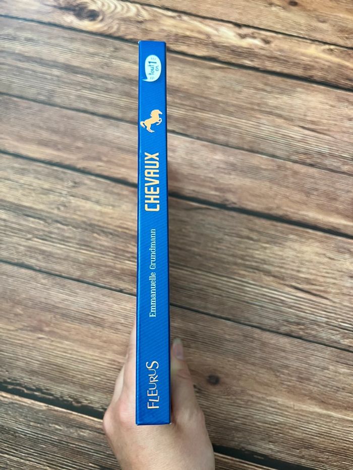 Chevaux fleurus - photo numéro 3