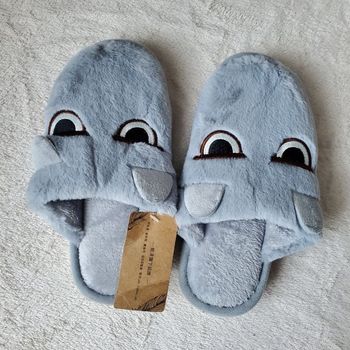 Une paire de chaussons en 36/37