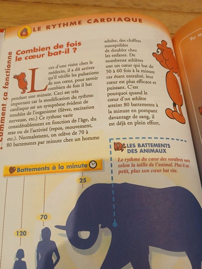 livre "il était une fois la vie" volume 1 coeur et circulation - photo numéro 3