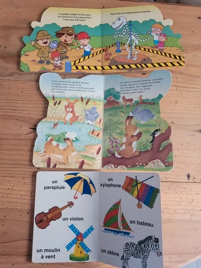 Lot de 3 livres enfants cartonnés - photo numéro 6