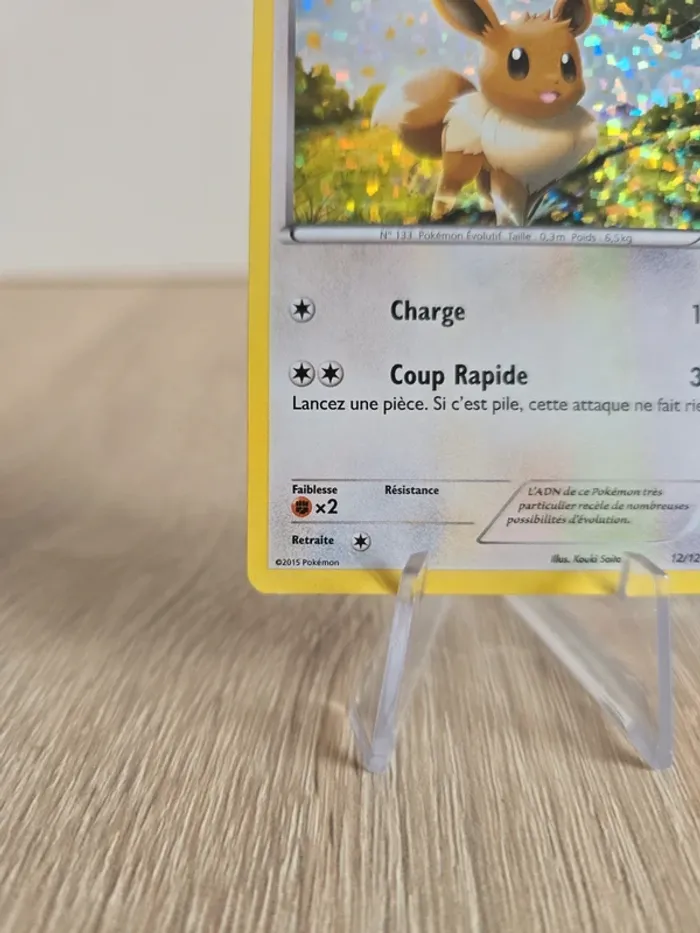 Evoli 12/12 - photo numéro 5